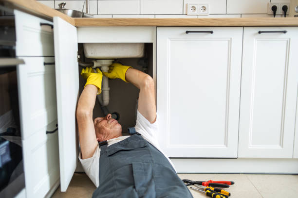 Best Local Plumber Services  in Cutlerville, MI